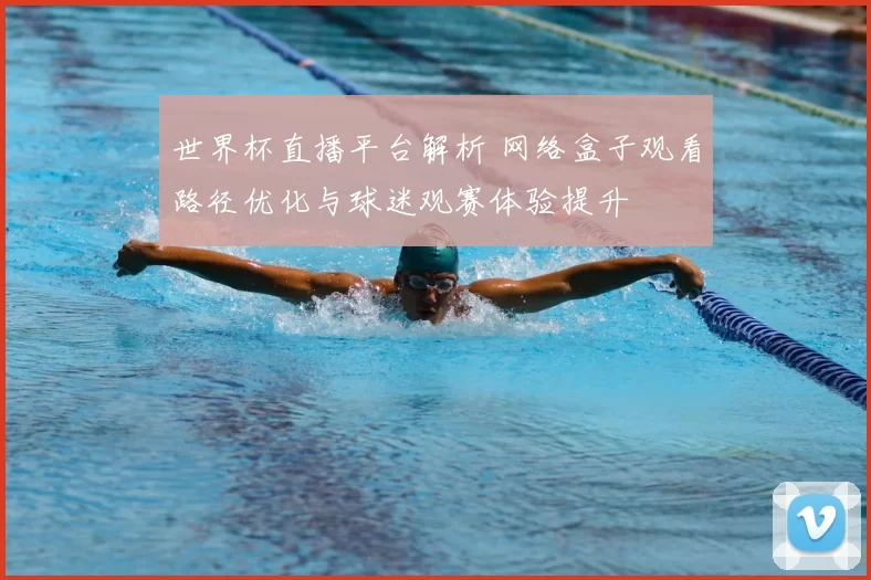 世界杯直播平台解析 网络盒子观看路径优化与球迷观赛体验提升